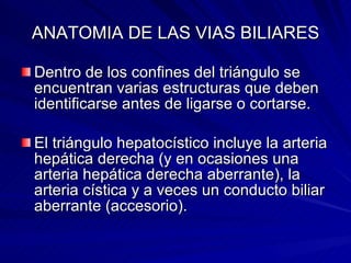 ANATOMIA DE LAS VIAS BILIARES Dentro de los confines del triángulo se encuentran varias estructuras que deben identificarse antes de ligarse o cortarse. El triángulo hepatocístico incluye la arteria hepática derecha (y en ocasiones una arteria hepática derecha aberrante), la arteria cística y a veces un conducto biliar aberrante (accesorio). 