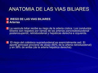 ANATOMIA DE LAS VIAS BILIARES . RIEGO DE LAS VIAS BILIARES Arterias La vesícula biliar recibe su riego de la arteria cística. Los conductos biliares son regados por ramas de las arterias pancreatoduodenal posterosuperior, retroduodenal y hepáticas derecha e izquierda. El riego del colédoco supraduodenal es esencialmente axil. El aporte principal proviene de abajo (60% de la arteria retroduodenal) y en 38% de arriba (de la arteria hepática derecha). 