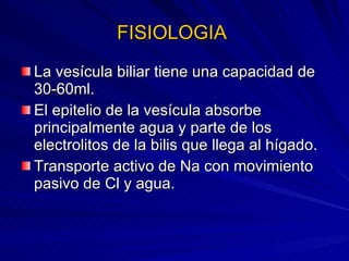 FISIOLOGIA  La vesícula biliar tiene una capacidad de 30-60ml. El epitelio de la vesícula absorbe principalmente agua y parte de los electrolitos de la bilis que llega al hígado. Transporte activo de Na con movimiento pasivo de Cl y agua. 