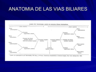 ANATOMIA DE LAS VIAS BILIARES 
