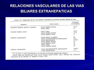 RELACIONES VASCULARES DE LAS VIAS BILIARES EXTRAHEPATICAS   
