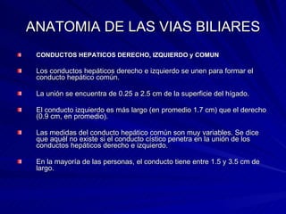 ANATOMIA DE LAS VIAS BILIARES CONDUCTOS HEPATICOS DERECHO, IZQUIERDO y COMUN   Los conductos hepáticos derecho e izquierdo se unen para formar el conducto hepático común.  La unión se encuentra de 0.25 a 2.5 cm de la superficie del hígado.  El conducto izquierdo es más largo (en promedio 1.7 cm) que el derecho (0.9 cm, en promedio).  Las medidas del conducto hepático común son muy variables. Se dice que aquél no existe si el conducto cístico penetra en la unión de los conductos hepáticos derecho e izquierdo.  En la mayoría de las personas, el conducto tiene entre 1.5 y 3.5 cm de largo. 