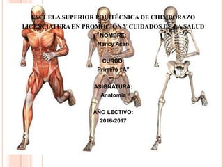 ESCUELA SUPERIOR POLITÉCNICA DE CHIMBORAZO
LICENCIATURA EN PROMOCIÓN Y CUIDADOS DE LA SALUD
NOMBRE:
Nancy Acan
CURSO:
Primero “A”
ASIGNATURA:
Anatomía
AÑO LECTIVO:
2016-2017
 