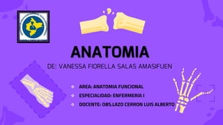 ANATOMIA
DE: VANESSA FIORELLA SALAS AMASIFUEN
 AREA: ANATOMIA FUNCIONAL
 ESPECIALIDAD: ENFERMERIA I
 DOCENTE: OBS.LAZO CERRON LUIS ALBERTO
 