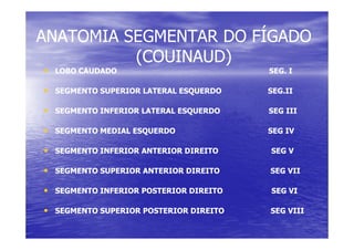 ANATOMIA SEGMENTAR DO FÍGADO
ANATOMIA SEGMENTAR DO FÍGADO
(COUINAUD)
(COUINAUD)
•
• LOBO CAUDADO SEG. I
LOBO CAUDADO SEG. I
•
• SEGMENTO SUPERIOR LATERAL ESQUERDO SEG.II
SEGMENTO SUPERIOR LATERAL ESQUERDO SEG.II
•
• SEGMENTO INFERIOR LATERAL ESQUERDO SEG III
SEGMENTO INFERIOR LATERAL ESQUERDO SEG III
•
•
•
• SEGMENTO MEDIAL ESQUERDO SEG IV
SEGMENTO MEDIAL ESQUERDO SEG IV
•
• SEGMENTO INFERIOR ANTERIOR DIREITO SEG V
SEGMENTO INFERIOR ANTERIOR DIREITO SEG V
•
• SEGMENTO SUPERIOR ANTERIOR DIREITO SEG VII
SEGMENTO SUPERIOR ANTERIOR DIREITO SEG VII
•
• SEGMENTO INFERIOR POSTERIOR DIREITO SEG VI
SEGMENTO INFERIOR POSTERIOR DIREITO SEG VI
•
• SEGMENTO SUPERIOR POSTERIOR DIREITO SEG VIII
SEGMENTO SUPERIOR POSTERIOR DIREITO SEG VIII
 