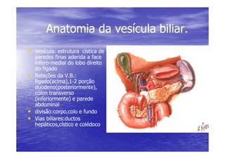 Anatomia da vesícula biliar.
Anatomia da vesícula biliar.
•
• Vesícula: estrutura cística de
Vesícula: estrutura cística de
paredes finas aderida a face
paredes finas aderida a face
infero
infero-
-medial do lobo direito
medial do lobo direito
do fígado
do fígado
•
• Relações da V.B.:
Relações da V.B.:
figado(acima),1
figado(acima),1-
-2 porção
2 porção
figado(acima),1
figado(acima),1-
-2 porção
2 porção
duodeno(posteriormente),
duodeno(posteriormente),
cólon transverso
cólon transverso
(inferiormente) e parede
(inferiormente) e parede
abdominal
abdominal
•
• divisão:corpo,colo e fundo
divisão:corpo,colo e fundo
•
• Vias biliares:ductos
Vias biliares:ductos
hepáticos,cístico e colédoco
hepáticos,cístico e colédoco
 