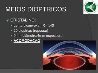 MEIOS DIÓPTRICOS
 CRISTALINO:
 Lente biconvexa; IR=1,40
 20 dioptrias (repouso)
 9mm diâmetro/4mm espessura
 ACOMODAÇÃO
 