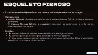 preencoded.png
ESQUELETO FIBROSO
• É o arcabouço de colágeno denso que fornece sustentação estrutural ao coração.
• Componentes:
• 4 anéis fibrosos: circundam os orifícios das 4 valvas cardíacas (mitral, tricúspide, aórtica e
pulmonar).
• 2 trígonos fibrosos (direito e esquerdo): conectam os anéis entre si e às partes
membranáceas dos septos.
• Funções:
• Mantém os orifícios valvares abertos e evita sua dilatação excessiva.
• Serve de ponto de inserção para as valvas e o músculo cardíaco.
• Atua como isolante elétrico, separando a condução elétrica dos átrios e ventrículos,
permitindo o controle do ritmo cardíaco.
 