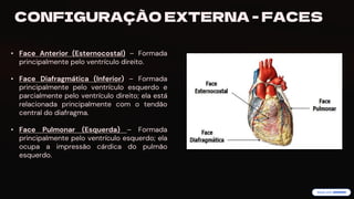 preencoded.png
CONFIGURAÇÃO EXTERNA - FACES
• Face Anterior (Esternocostal) – Formada
principalmente pelo ventrículo direito.
• Face Diafragmática (Inferior) – Formada
principalmente pelo ventrículo esquerdo e
parcialmente pelo ventrículo direito; ela está
relacionada principalmente com o tendão
central do diafragma.
• Face Pulmonar (Esquerda) – Formada
principalmente pelo ventrículo esquerdo; ela
ocupa a impressão cárdica do pulmão
esquerdo.
 
