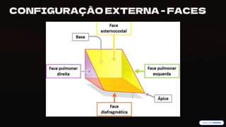 preencoded.png
CONFIGURAÇÃO EXTERNA - FACES
 