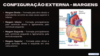 preencoded.png
CONFIGURAÇÃO EXTERNA - MARGENS
• Margem Direita – Formada pelo átrio direito e
estendendo-se entre as veias cavas superior e
inferior.
• Margem Inferior – Formada principalmente
pelo ventrículo direito e, ligeiramente, pelo
ventrículo esquerdo.
• Margem Esquerda – Formada principalmente
pelo ventrículo esquerdo e, ligeiramente, pela
aurícula esquerda.
• Margem Superior – Formada pelos átrios e
pelas aurículas direita e esquerda em uma
vista anterior.
 