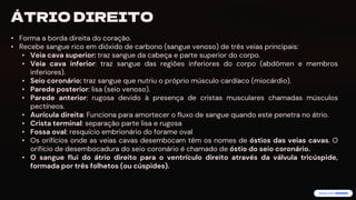 preencoded.png
ÁTRIO DIREITO
• Forma a borda direita do coração.
• Recebe sangue rico em dióxido de carbono (sangue venoso) de três veias principais:
• Veia cava superior: traz sangue da cabeça e parte superior do corpo.
• Veia cava inferior: traz sangue das regiões inferiores do corpo (abdômen e membros
inferiores).
• Seio coronário: traz sangue que nutriu o próprio músculo cardíaco (miocárdio).
• Parede posterior: lisa (seio venoso).
• Parede anterior: rugosa devido à presença de cristas musculares chamadas músculos
pectíneos.
• Aurícula direita: Funciona para amortecer o fluxo de sangue quando este penetra no átrio.
• Crista terminal: separação parte lisa e rugosa
• Fossa oval: resquício embrionário do forame oval
• Os orifícios onde as veias cavas desembocam têm os nomes de óstios das veias cavas. O
orifício de desembocadura do seio coronário é chamado de óstio do seio coronário.
• O sangue flui do átrio direito para o ventrículo direito através da válvula tricúspide,
formada por três folhetos (ou cúspides).
 