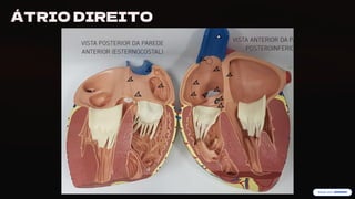 preencoded.png
ÁTRIO DIREITO
 