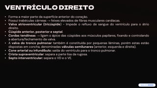 preencoded.png
VENTRÍCULO DIREITO
• Forma a maior parte da superfície anterior do coração.
• Possui trabéculas cárneas → feixes elevados de fibras musculares cardíacas.
• Valva atrioventricular (tricúspide) - Impede o refluxo de sangue do ventrículo para o átrio
direito.
• Cúspide anterior, posterior e septal.
• Cordas tendíneas → ligam o ápice das cúspides aos músculos papilares, fixando e controlando
a abertura/fechamento da valva.
• A valva do tronco pulmonar também é constituída por pequenas lâminas, porém estas estão
dispostas em concha, denominadas válvulas semilunares (anterior, esquerda e direita).
• Cone arterial ou infundíbulo: saída do ventrículo para o tronco pulmonar.
• Crista supraventricular: separa a parte lisa da rugosa.
• Septo interventricular: separa o VD e o VE.
 