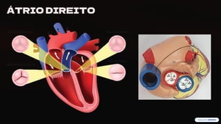 preencoded.png
ÁTRIO DIREITO
 