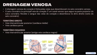 preencoded.png
DRENAGEM VENOSA
• A drenagem venosa do coração é feita pelas veias que desembocam no seio coronário venoso.
• O seio coronário é a principal veia do coração. É um canal venoso que segue na parte posterior do
sulco coronário. Recebe o sangue das veias do coração e desemboca no átrio direito (ostio do
seio coronário).
TERRITÓRIO DIREITO
• Veia interventricular posterior (cardíaca média)
• Veia cardíaca parva
TERRITÓRIO ESQUERDO
• Veia interventricular anterior (antiga veia cardíaca magna)
 