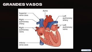 preencoded.png
GRANDES VASOS
 
