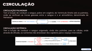 preencoded.png
CIRCULAÇÃO
CIRCULAÇÃO PULMONAR
Tem a função de conduzir o sangue, pobre em oxigênio, do Ventrículo Direito até os pulmões,
onde se verificam as trocas gasosas entre o sangue e o ar atmosférico, denominada de
Hematose.
CIRCULAÇÃO SISTÊMICA
Tem a função de conduzir o sangue oxigenado, vindo dos pulmões, para as células, onde
através de difusão, os nutrientes irão atravessar dos capilares para o espaço intercelular.
 
