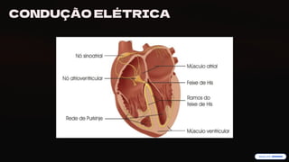 preencoded.png
CONDUÇÃO ELÉTRICA
 