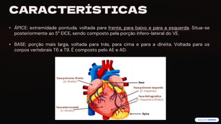 preencoded.png
CARACTERÍSTICAS
• ÁPICE: extremidade pontuda, voltada para frente, para baixo e para a esquerda. Situa-se
posteriormente ao 5° EICE, sendo composto pela porção ínfero-lateral do VE.
• BASE: porção mais larga, voltada para trás, para cima e para a direita. Voltada para os
corpos vertebrais T6 a T9. É composto pelo AE e AD.
 