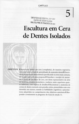CAPÍTULO
5
Cyr<so DE ODONTOLOGIA
•5iaUC^ORIF,^F^ciSCOa4^KO
Escultura em Cera
de Dentes Isolados
OBJETIVOS l Reproduzir dentes em cera (ceroplastia), de maneira regressiva,
como um meio a mais de aprendizado da anatomia dental l Descre-
ver as etapas da escultura dental especificando os erros mais comuns,
de acordo com a técnica proposta l Desenhar e esculpir de memó-
ria, a partir de um bloco de cera, um dente representativo da série
de incisivos, caninos, premolares e molares, tanto superiores quan-
to inferiores, com riqueza de detalhes l Reconstruir a anatomia de
coroas de dentes naturais com grandes cáries, preenchidas com cera
derretida em excesso, usando as habilidades cognitivas e psicomo-
toras adquiridas no cumprimento dos objetivos anteriores l Res-
ponder corretamente às perguntas do Guia de estudo 11.
 