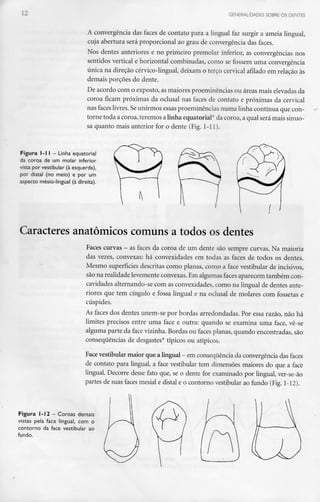 GENERALIDADES SOBRE OS DENTES
A convergência das faces de contato para a lingual faz surgir a ameia lingual,
cuja abertura será proporcional ao grau de convergência das faces.
Nos dentes anteriores e no primeiro premolar inferior, as convergências nos
sentidos vertical e horizontal combinadas, como se fossem uma convergência
única na direção cérvico-lingual, deixam o terço cervical afilado em relação às
demais porções do dente.
De acordo com o exposto, as maiores proeminências ou áreas mais elevadas da
coroa ficam próximas da oclusal nas faces de contato e próximas da cervical
nas faces livres. Seunirmos essasproeminências numa linha contínua que con-
torne toda a coroa,teremos alinha equatorial* da coroa, a qual será mais sinuo-
sa quanto mais anterior for o dente (Fig. 1-11).
Figura l-l l - Linha equatorial
da coroa de um molar inferior
vista por vestibular (àesquerda),
por distai (no meio) e por um
aspecto mésio-lingual (à direita).
Caracteres anatómicos comuns a todos os dentes
Faces curvas - as faces da coroa de um dente são sempre curvas. Na maioria
das vezes, convexas: há convexidades em todas as faces de todos os dentes.
Mesmo superfícies descritas como planas, como a face vestibular de incisivos,
são na realidade levemente convexas. Em algumas faces aparecem também con-
cavidades alternando-se com as convexidades, como na lingual de dentes ante-
riores que tem cíngulo e fossa lingual e na oclusal de molares com fossetas e
cúspides.
As faces dos dentes unem-se por bordas arredondadas. Por essa razão, não há
limites precisos entre uma face e outra: quando se examina uma face, vê-se
alguma parte da face vizinha. Bordas ou faces planas, quando encontradas, são
consequências de desgastes* típicos ou atípicos.
Face vestibular maior que alingual - emconsequência da convergência das faces
de contato para lingual, a face vestibular tem dimensões maiores do que a face
lingual. Decorre desse fato que, se o dente for examinado por lingual, ver-se-ão
partes de suas faces mesial e distai e o contorno vestibular ao fundo (Fig.1-12).
Figura 1-12 - Coroas dentais
vistas pela face lingual, com o
contorno da face vestibular ao
fundo.
 