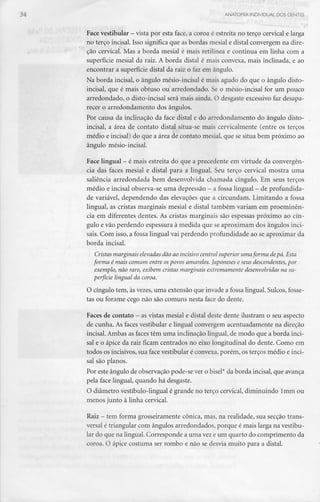 ANATOMIA INDIVIDUAL DOS DENTES
Face vestibular - vista por esta face, a coroa é estreita no terço cervical elarga
no terço incisai. Isso significa que as bordas mesial e distai convergem na dire-
ção cervical. Mas a borda mesial é mais retilínea e continua em linha com a
superfície mesial da raiz. A borda distai é mais convexa, mais inclinada, e ao
encontrar a superfície distai da raiz o faz em ângulo.
Na borda incisai, o ângulo mésio-incisal é mais agudo do que o ângulo disto-
incisal, que é mais obtuso ou arredondado. Se o mésio-incisal for um pouco
arredondado, o disto-incisal será mais ainda. O desgaste excessivo faz desapa-
recer o arredondamento dos ângulos.
Por causa da inclinação da face distai e do arredondamento do ângulo disto-
incisal, a área de contato distai situa-se mais cervicalmente (entre os terços
médio e incisai) do que a área de contato mesial, que se situa bem próximo ao
ângulo mésio-incisal.
Face lingual - é mais estreita do que a precedente emvirtude da convergên-
cia das faces mesial e distai para a lingual. Seu terço cervical mostra uma
saliência arredondada bem desenvolvida chamada cíngulo. Em seus terços
médio eincisai observa-se umadepressão - a fossa lingual - deprofundida-
de variável, dependendo das elevações que a circundam. Limitando a fossa
lingual, as cristas marginais mesial e distai também variam em proeminên-
cia em diferentes dentes. As cristas marginais são espessas próximo ao cín-
gulo e vão perdendo espessura à medida que se aproximam dos ângulos inci-
sais. Com isso, a fossa lingual vai perdendo profundidade ao se aproximar da
borda incisai.
Cristas marginais elevadas dão ao incisivo central superior uma forma de pá. Esta
forma é mais comum entre, ospovos amarelos. Japoneses e seus descendentes, por
exemplo, não raro, exibem cristas marginais extremamente desenvolvidas na su-
perfície lingual da coroa.
O cíngulo tem, às vezes, uma extensão que invade a fossa lingual. Sulcos, fosse-
tas ou forame cego não são comuns nesta face do dente.
Faces de contato - as vistas mesial e distai deste dente ilustram o seu aspecto
de cunha. As faces vestibular e lingual convergem acentuadamente na direção
incisai. Ambas as faces têm uma inclinação lingual, de modo que a borda inci-
sai e o ápice da raiz ficam centrados no eixo longitudinal do dente. Como em
todos os incisivos, sua face vestibular é convexa, porém, os terços médio e inci-
sai são planos.
Por este ângulo de observação pode-se ver o bisel* da borda incisai, que avança
pela face lingual, quando há desgaste.
O diâmetro vestíbulo-lingual é grande no terço cervical, diminuindo lmm ou
menos junto à linha cervical.
Raiz - tem forma grosseiramente cónica, mas, na realidade, sua secção trans-
versal é triangular com ângulos arredondados, porque é mais larga na vestibu-
lar do que na lingual. Corresponde a uma vez e um quarto do comprimento da
coroa. O ápice costuma ser rombo e não se desvia muito para a distai.
 