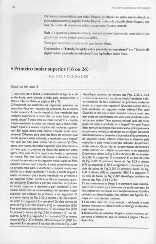 -- ANATOMIA INDIVIDUAL DOS DENTES
Na forma tricuspidada, um sulco lingual, partindo do sulco mésio-distal, se-
para nitidamentea cúspidemésio-lingual, maior,da cúspidedisto-lingual, me-
nor. Na união de ambos os sulcos surge uma fosseta central.
Raiz - éaproximadamente cónica; oval emsecção transversal; comsulcos lon-
gitudinais muito poucopronunciados.
Vista por vestibular,a raiz exibe um desviodistai.
Desenvolva o "Estudo dirigido sobre premolares superiores" e o "Estudo di-
rigido sobre premolares inferiores",no Apêndice deste livro.
Primeiro molar superior (16 ou 26)
(Figs. 2-22,2-23,2-24 e2-25)
GUIA DE ESTUDO S
1 Leia uma vez o bloco 3, examinando as figuras e, de
preferência, com dentes à mão para acompanhar a
leitura. Leia também as páginas 68 a 70.
2 Responda ou esclareça os seguintes quesitos ou
questões: Faça"um resumo da anatomia do primeiro
molar superiqr.A borda mesial da face vestibular dos
molares superiores é mais alta ou mais baixa que a
borda distai? É mais reta ou mais curva? E a cúspide
mésio-vestibular é maior ou menor que a disto-vesti-
bular? Qual é a menor cúspide dos molares superio-
res? Em quais deles essa menor cúspide pode estar
ausente? Olhando para uma das faces de contato, qual
borda aparece mais inclinada, a vestibular ou a lingual?
Por que (se não sabe, releia "Arcos dentais")? Olhe
agora uma coroa de molar superior pela face mesial e
perceba que o contorno da distai não pode ser visto;
agora olhe pela distai e repare no fundo o contorno
da mesial. Por que isso? Descreva e desenhe a face
oclusal do primeiro e do segundo molar superior. Pelo
aspecto oclusal, qual cúspide é mais proeminente ou
se projeta mais para a vestibular, a cúspide mésio-ves-
tibular ou a disto-vestibular? E ainda: a borda lingual é
maior ou menor que a borda vestibular no primeiro e
no segundo molar (lembre-se destes aspectos quan-
do esculpir)? Descreva a porção radicular do primei-
ro molar superior e desenhe-a por vestibular e por
mesial. Quais são as características do terceiro molar
superior em relação ao primeiro e ao segundo? O
primeiro dente da Fig. 2-22 é direito (16) ou esquer-
do (26)? E o segundo? E o terceiro? Os dois dentes de
cima da Fig. 2-23 são direitos (16) ou esquerdos (26)?
E os dois debaixo são direitos (17) ou esquerdos (27)?
O primeiro dente da Fig. 2-26 é direito (17) ou es-
querdo (27)? E o segundo? E o terceiro? O primeiro
dente da Fig. 2-27 é direito (18) ou esquerdo (28)? Eo
segundo? E o terceiro? E os dois de cima da Fig. 2-28?
Identifique também os dentes das Figs. 2-50 a 2-52.
Como se apresentam os sulcos mésio-vestibular e dis-
to-vestibular da face vestibular do primeiro molar in-
ferior e o que eles separam? Quantos sulcos tem a
face vestibular do segundo molar inferior? Por que?
Quando se diz que o lado mesial é maior e mais reto,
isto pode ser confirmado em uma vista vestibular, oclu-
sal ou em ambas? Pelo aspecto oclusal, qual das faces
pode ser vista, a vestibular ou a lingual? Por que? E qual
delas tem um contorno mais encurvado (principalmente
no primeiro molar), a vestibular ou a lingual? Descreva
detalhadamente e desenhe a face oclusal do primeiro e
do segundo molar inferior. Descreva e desenhe pela
vestibular e pela mesial a porção radicular do primeiro
molar inferior. Quais são as características do terceiro
molar inferior em relação ao primeiro e ao segundo?
O primeiro dente da Fig. 2-29 é direito (46) ou esquer-
do (36)? E o segundo? E o terceiro? E os dois de cima
da Fig. 2-30? O primeiro dente da Fig. 2-33 é direito
(47) ou esquerdo (37)? E o segundo? E o terceiro? Eos
dois de baixo da Fig. 2-30? O primeiro dente da Fig.
2-34 é direito (48) ou esquerdo (38)í E o segundo?E
os dois de baixo da Fig. 2-28? Identifique também os
dentes das Figs. 2-53 e 2-54.
3 Leia novamente o bloco 3 e compare suas explica-
ções com o texto para constatar se estão corretas. Se
não estiverem, corrija-as ou complemente-as. Confira
também as identificações dos dentes das figuras. Es-
culpa em cera dentes molares.
4 Leia mais uma vez, com atenção redobrada e com
dentes (naturais ou não) ao lado e distinga os detalhes
mais importantes.
5 Desenvolva os estudos dirigidos sobre molares su-
periores e inferiores, que se iniciam à página 136, no
Apêndice.
 