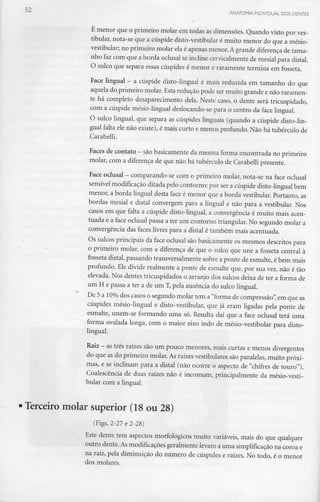 51 ANATOMIA INDIVIDUAL DOS DENTES
É menor que o primeiro molar em todas as dimensões. Quando visto por ves-
tibular, nota-se que a cúspide disto-vestibular é muito menor do que a mésio-
vestibular; no primeiro molar elaé apenas menor. A grande diferença de tama-
nho fazcom que a borda oclusal se incline cervicalmente de mesial para distai.
O sulco que separa essas cúspides é menor e raramente termina em fosseta.
Face lingual - a cúspide dísto-lingual é mais reduzida em tamanho do que
aquela do primeiro molar. Esta redução pode sermuito grande e não raramen-
te há completo desaparecimento dela. Neste caso, o dente será tricuspidado,
com a cúspide mésio-lingual deslocando-se para o centro da face lingual.
O sulco lingual, que separa as cúspides linguais (quando a cúspide disto-lin-
gual falta ele não existe),é mais curto e menos profundo. Não há tubérculo de
Carabelli.
Faces de contato - sãobasicamente da mesma forma encontrada no primeiro
molar, com a diferença de que não há tubérculo de Carabellipresente.
Face oclusal - comparando-se como primeiro molar, nota-se na face oclusal
sensível modificação ditada pelo contorno:por ser a cúspide disto-lingual bem
menor, a borda lingual desta face é menor que a borda vestibular. Portanto, as
bordas mesial e distai convergem para a lingual e não para a vestibular. Nos
casos em que falta a cúspide disto-lingual, a convergência é muito mais acen-
tuada e a face oclusal passa a ter um contorno triangular. No segundo molar a
convergência das faces livres para a distai é também mais acentuada.
Os sulcos principais da face oclusal são basicamente os mesmos descritos para
o primeiro molar, com a diferença de que o sulco que une a fosseta central à
fosseta distai, passando transversalmentesobre a ponte de esmalte, é bem mais
profundo. Ele divide realmente a ponte de esmalte que, por sua vez,não é tão
elevada. Nos dentes tricuspidados o arranjo dos sulcos deixa de ter a forma de
um H e passa a ter a de um T, pela ausência do sulco lingual.
De 5 a 10% dos casos o segundo molar tem a"forma de compressão", em que as
cúspides mésio-lingual e disto-vestibular, que já eram ligadas pela ponte de
esmalte, unem-se formando uma só. Resulta daí que a face oclusal terá uma
forma ovalada longa, com o maior eixo indo de mésio-vestibular para disto-
lingual.
Raiz - astrês raízes sãoum pouco menores, mais curtas e menos divergentes
do que as do primeiro molar. As raízes vestibularessão paralelas, muito próxi-
mas, e se inclinam para a distai (não ocorre o aspecto de "chifres de touro").
Coalescência de duas raízes não é incomum, principalmente da mésio-vesti-
bular com a lingual.
Terceiro molar superior (18 ou 28)
(Figs. 2-27 e 2-28)
Este dente tem aspectos morfológicos muito variáveis, mais do que qualquer
outro dente. Asmodificações geralmente levam a uma simplificação na coroa e
na raiz, pela diminuição do número de cúspides e raízes. No todo, é o menor
dos molares.
 