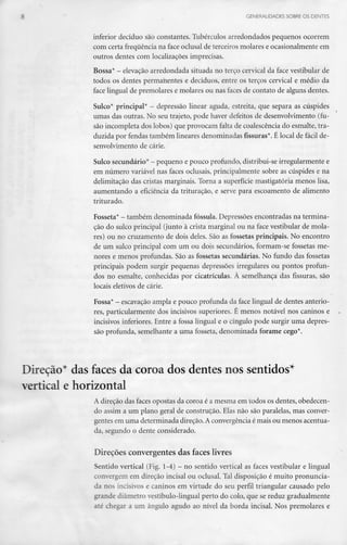 GENERALIDADES SOBRE OS DENTES
inferior decíduo são constantes. Tubérculos arredondados pequenos ocorrem
com certa frequênciana face oclusal de terceiros molares e ocasionalmente em
outros dentes com localizações imprecisas.
Bossa* - elevação arredondada situada no terço cervical da face vestibular de
todos os dentes permanentes e decíduos, entre os terços cervical e médio da
face lingual de premolares e molares ou nas faces de contato de alguns dentes.
Sulco* principal* - depressão linear aguda, estreita, que separa as cúspides
umas das outras. No seu trajeto, pode haver defeitos de desenvolvimento (fu-
são incompleta dos lobos) que provocam falta de coalescência do esmalte, tra-
duzida por fendas também lineares denominadas fissuras*. É local de fácil de-
senvolvimento de cárie.
Sulco secundário* - pequeno e pouco profundo, distribui-se irregularmente e
em número variável nas faces oclusais, principalmente sobre as cúspides e na
delimitação das cristas marginais. Torna a superfície mastigatória menos lisa,
aumentando a eficiência da trituração, e serve para escoamento de alimento
triturado.
Fosseta* - também denominada fóssula. Depressõesencontradas na termina-
ção do sulco principal (junto à crista marginal ou na face vestibular de mola-
res) ou no cruzamento de dois deles. São as fossetas principais. No encontro
de um sulco principal com um ou dois secundários, formam-se fossetas me-
nores e menos profundas. São as fossetas secundárias. No fundo das fossetas
principais podem surgir pequenas depressões irregulares ou pontos profun-
dos no esmalte, conhecidas por cicatrículas. À semelhança das fissuras, são
locais eletivos de cárie.
Fossa* - escavação ampla e pouco profunda da face lingual de dentes anterio-
res, particularmente dos incisivos superiores. É menos notável nos caninos e
incisivos inferiores.Entre a fossa lingual e o cíngulo pode surgir uma depres-
são profunda, semelhante a uma fosseta, denominada forame cego*.
Direcão* das faces da coroa dos dentes nos sentidos*
vertical e horizontal
A direção das faces opostas da coroa é a mesma em todos os dentes, obedecen-
do assim a um plano geral de construção. Elas não são paralelas, mas conver-
gentes em uma determinada direção.Aconvergência é mais ou menos acentua-
da, segundo o dente considerado.
Direcões convergentes das faces livres
Sentido vertical (Fig. 1-4) - no sentido vertical as faces vestibular e lingual
convergem em direção incisai ou oclusal. Tal disposição é muito pronuncia-
da nos incisivos e caninos em virtude do seu perfil triangular causado pelo
grande diâmetro vestíbulo-lingual perto do colo, que se reduz gradualmente
até chegar a um ângulo agudo ao nível da borda incisai. Nos premolares e
 