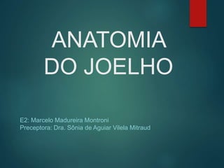 ANATOMIA
DO JOELHO
E2: Marcelo Madureira Montroni
Preceptora: Dra. Sônia de Aguiar Vilela Mitraud
 