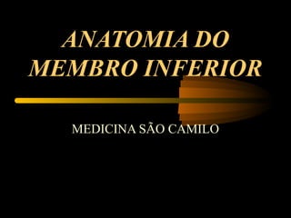 ANATOMIA DO
MEMBRO INFERIOR
MEDICINA SÃO CAMILO
 