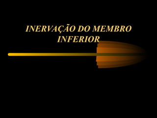 INERVAÇÃO DO MEMBRO
INFERIOR
 