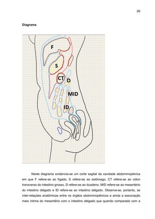 20

Diagrama

"

"

"
Neste diagrama evidencia-se um corte sagital da cavidade abdominopélvica
em que F refere-se ao fígado, S refere-se ao estômago, CT refere-se ao cólon
transverso do intestino grosso, D refere-se ao duodeno, MID refere-se ao mesentério
do intestino delgado e ID refere-se ao intestino delgado. Observa-se, portanto, as
inter-relações anatômicas entre os órgãos abdominopélvicos e ainda a associação
mais íntima do mesentério com o intestino delgado que quando comparado com a

 
