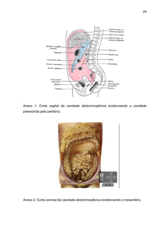 24

"
"
"
"
"
"
"
"
"
"
"
"
"
"
Anexo 1. Corte sagital da cavidade abdominopélvica evidenciando a cavidade
preenchida pelo peritônio.

"
Anexo 2. Corte coronal da cavidade abdominopélvica evidenciando o mesentério.

"

 
