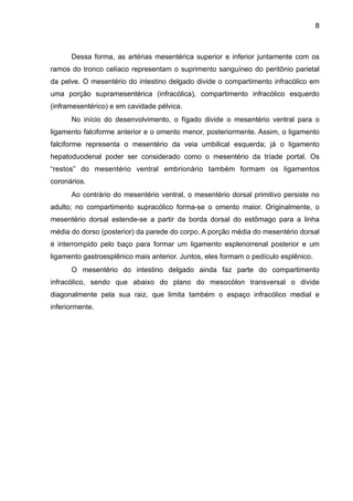 8

Dessa forma, as artérias mesentérica superior e inferior juntamente com os
ramos do tronco celíaco representam o suprimento sanguíneo do peritônio parietal
da pelve. O mesentério do intestino delgado divide o compartimento infracólico em
uma porção supramesentérica (infracólica), compartimento infracólico esquerdo
(inframesentérico) e em cavidade pélvica.
No início do desenvolvimento, o fígado divide o mesentério ventral para o
ligamento falciforme anterior e o omento menor, posteriormente. Assim, o ligamento
falciforme representa o mesentério da veia umbilical esquerda; já o ligamento
hepatoduodenal poder ser considerado como o mesentério da tríade portal. Os
“restos” do mesentério ventral embrionário também formam os ligamentos
coronários.
Ao contrário do mesentério ventral, o mesentério dorsal primitivo persiste no
adulto; no compartimento supracólico forma-se o omento maior. Originalmente, o
mesentério dorsal estende-se a partir da borda dorsal do estômago para a linha
média do dorso (posterior) da parede do corpo. A porção média do mesentério dorsal
é interrompido pelo baço para formar um ligamento esplenorrenal posterior e um
ligamento gastroesplênico mais anterior. Juntos, eles formam o pedículo esplênico.
O mesentério do intestino delgado ainda faz parte do compartimento
infracólico, sendo que abaixo do plano do mesocólon transversal o divide
diagonalmente pela sua raiz, que limita também o espaço infracólico medial e
inferiormente.

"
"
"
"
"
"
"
"
"
"
"

 