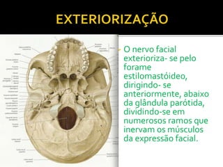  O nervo facial
exterioriza- se pelo
forame
estilomastóideo,
dirigindo- se
anteriormente, abaixo
da glândula parótida,
dividindo-se em
numerosos ramos que
inervam os músculos
da expressão facial.
 