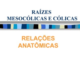 RAÍZES
MESOCÓLICAS E CÓLICAS
RELAÇÕES
ANATÔMICAS
 