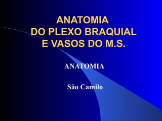 ANATOMIAANATOMIA
DO PLEXO BRAQUIALDO PLEXO BRAQUIAL
E VASOS DO M.S.E VASOS DO M.S.
ANATOMIA
São Camilo
 
