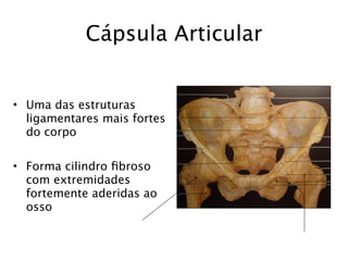 Cápsula Articular


• Uma das estruturas
  ligamentares mais fortes
  do corpo

• Forma cilindro ﬁbroso
  com extremidades
  fortemente aderidas ao
  osso
 