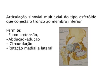 Articulação sinovial multiaxial do tipo esferóide
que conecta o tronco ao membro inferior

Permite:
-Flexo-extensão,
-Abdução-adução
- Circundação
-Rotação medial e lateral
 