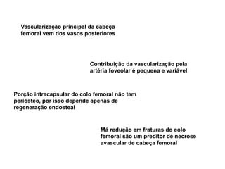 Vascularização principal da cabeça
  femoral vem dos vasos posteriores




                           Contribuição da vascularização pela
                           artéria foveolar é pequena e variável



Porção intracapsular do colo femoral não tem
periósteo, por isso depende apenas de
regeneração endosteal


                               Má redução em fraturas do colo
                               femoral são um preditor de necrose
                               avascular de cabeça femoral
 