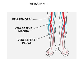 VEIAS MMII
 
