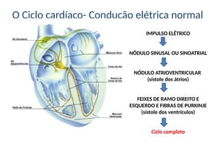 O Ciclo cardíaco- Condução elétrica normal
IMPULSO ELÉTRICO
NÓDULO SINUSAL OU SINOATRIAL
NÓDULO ATRIOVENTRICULAR
(sístole dos átrios)
FEIXES DE RAMO DIREITO E
ESQUERDO E FIBRAS DE PURKINJE
(sístole dos ventrículos)
Ciclo completo
 