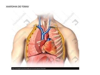 ANATOMIA DO TORAX
 