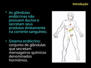AULA DE ANATOMIA DO SISTEMA ENDÓCRINO.pptx