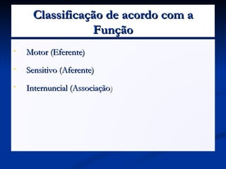Classificação de acordo com a
                Função
•   Motor (Eferente)
•   Sensitivo (Aferente)
•   Internuncial (Associação)
 