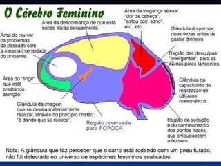 Anatomia do sistema nervoso
