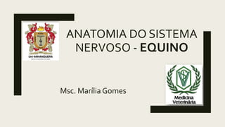 ANATOMIA DO SISTEMA
NERVOSO - EQUINO
Msc. Marília Gomes
 