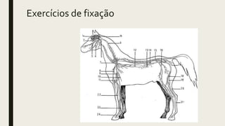 Exercícios de fixação
 